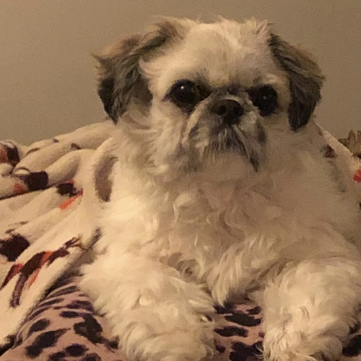 AC3ADD60-7F94-4C65-91D0-9DAD6B2EC03B