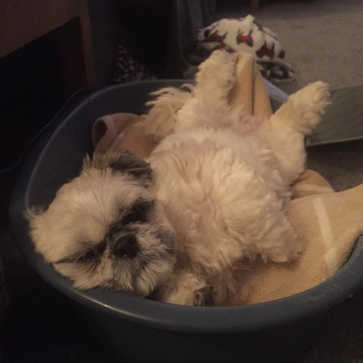 52218565-F3B7-4188-A134-28C9A4099A40