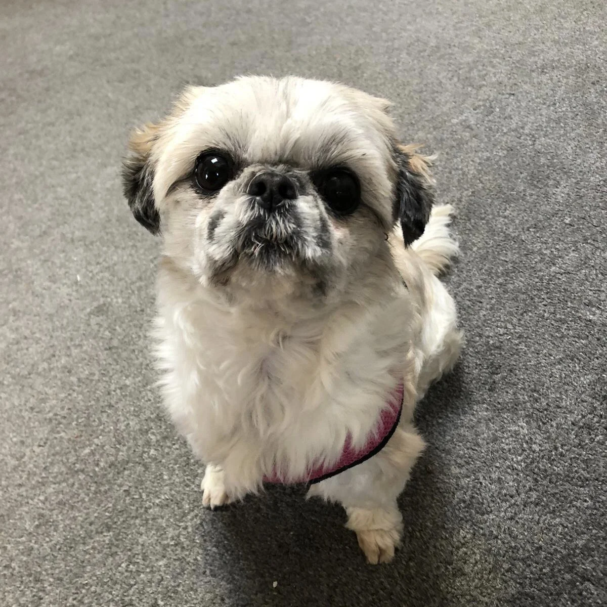 DAC0EB57-E53B-4250-AADC-AC31D1B89294