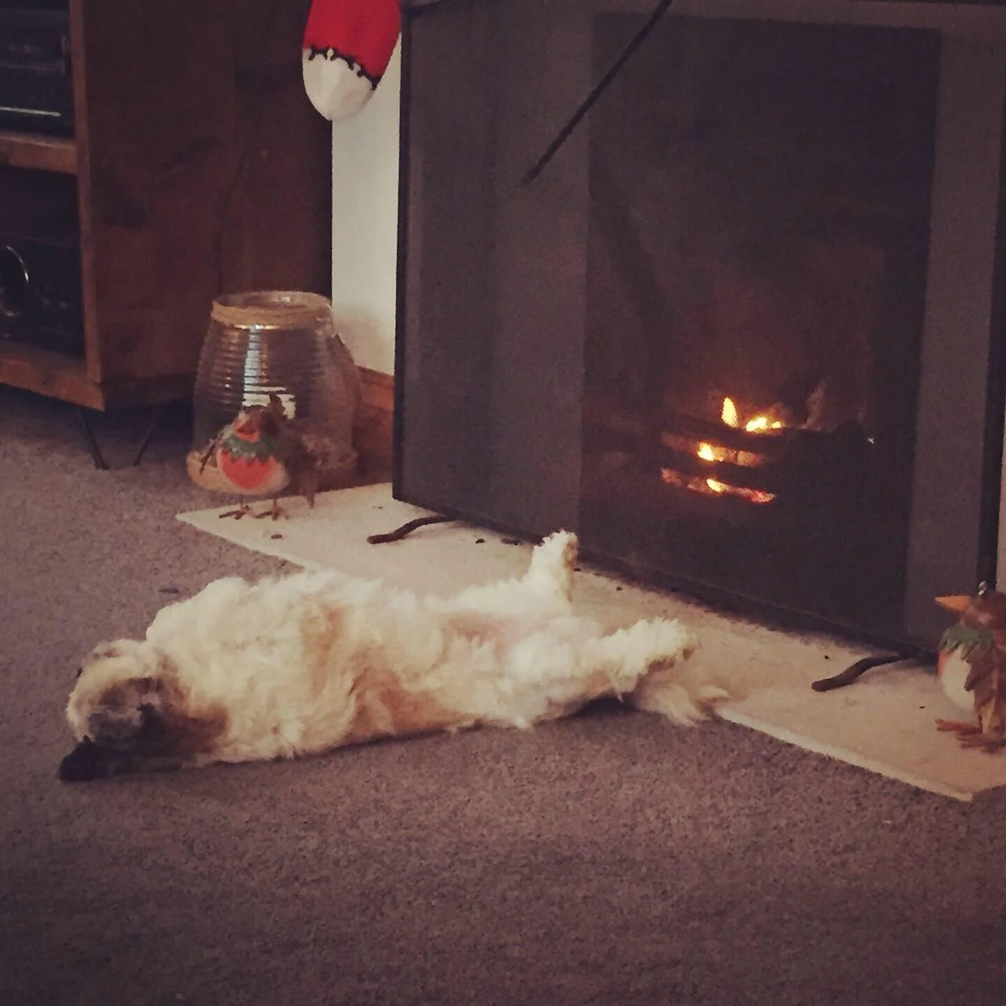 1B5AEBAB-641F-4D6C-893F-BE378757EE5C