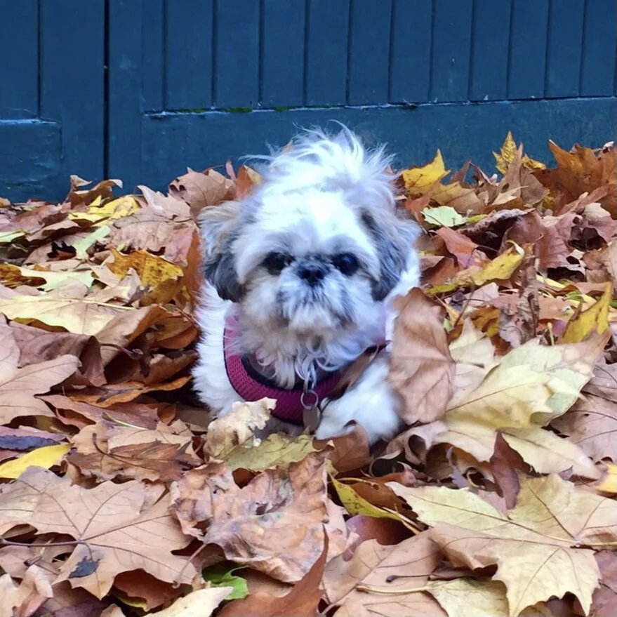 B9B24A07-1413-460F-BA17-3791930E9D57