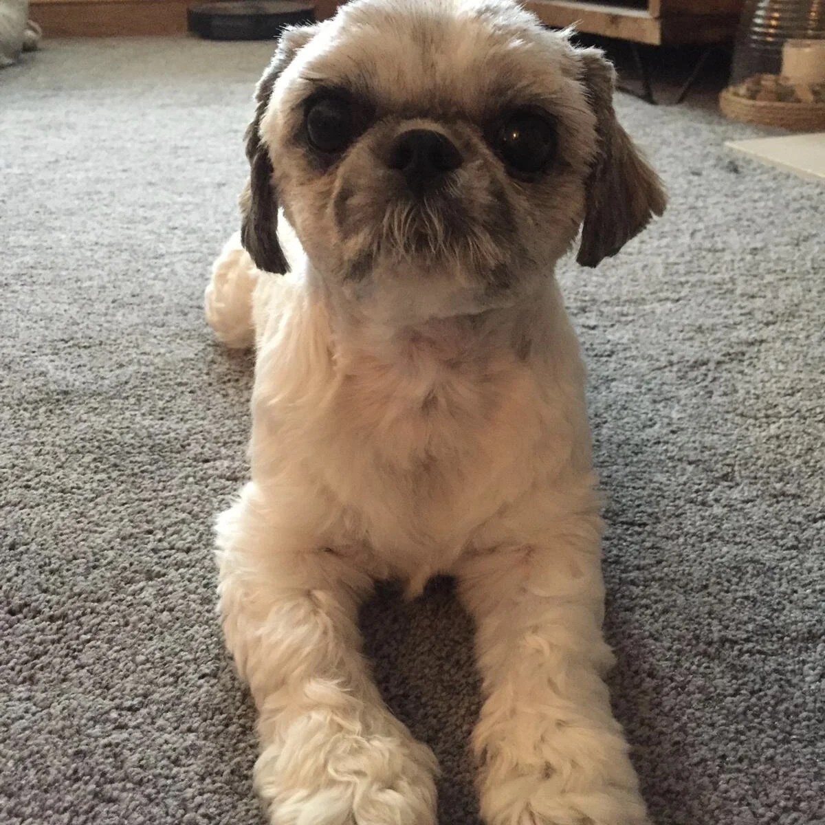 1E252203-B9A6-47E9-B887-471FB4B3B709