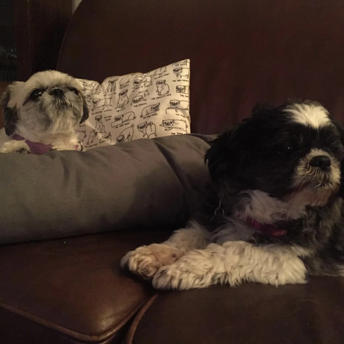 D50BCF9D-50E6-49FC-8165-E11D3CCFD679