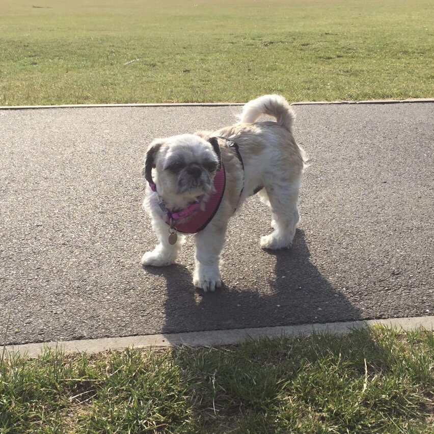 DF5BE411-E013-48C3-A66E-82EB1843C200