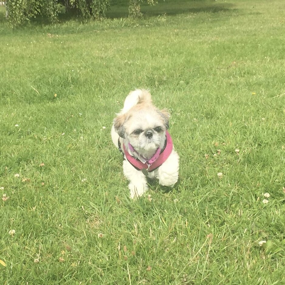 78AB04A5-26F0-484D-B7D6-FB46B2AFFEEB