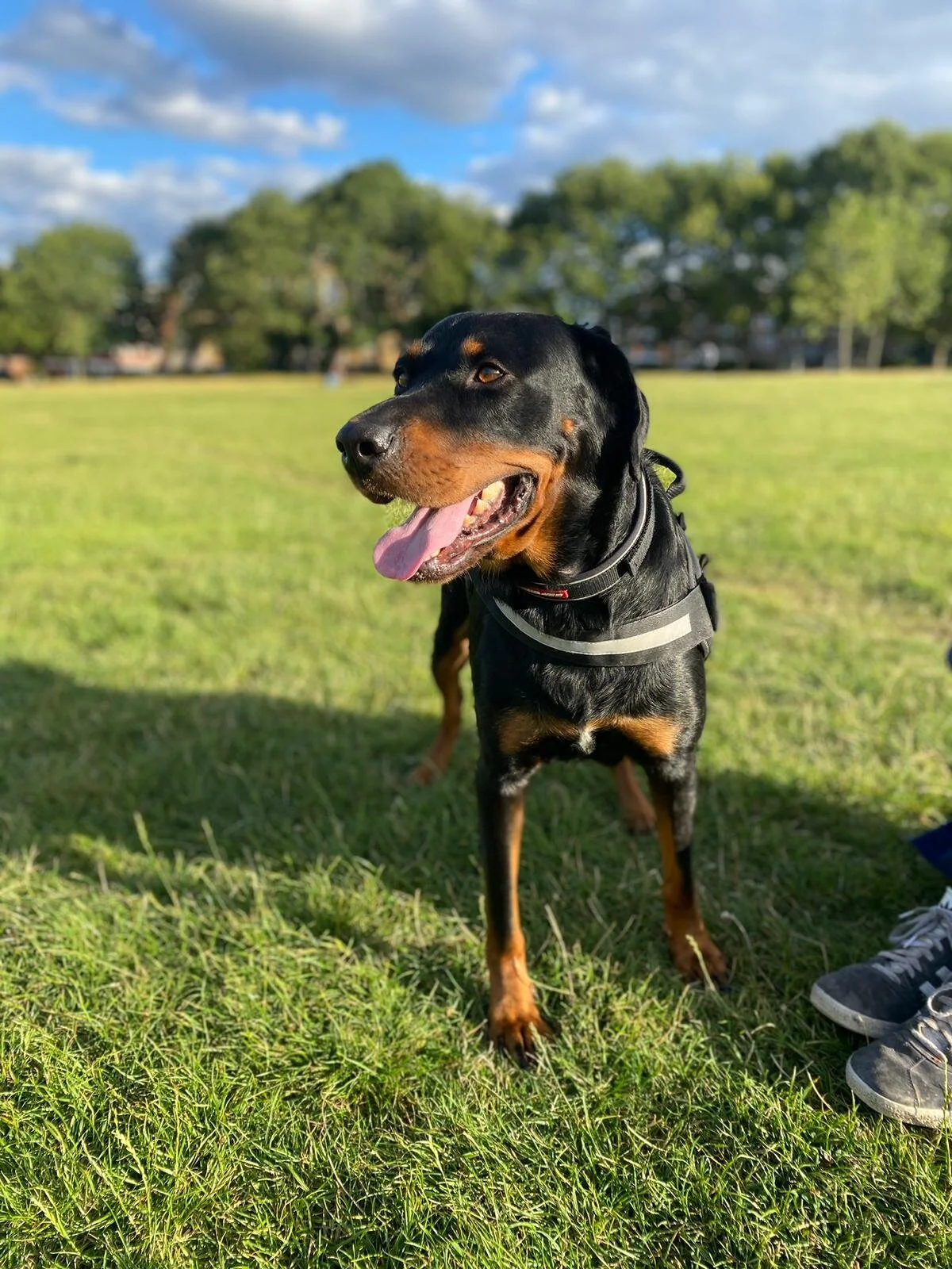 71F2870C-9A3A-4A95-8A6E-650E4ECC75B7