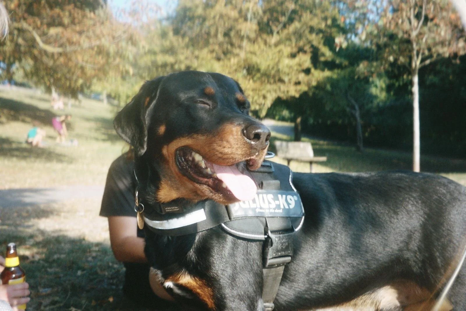 F365A2B5-7F80-4820-8F8B-89983477AC0E