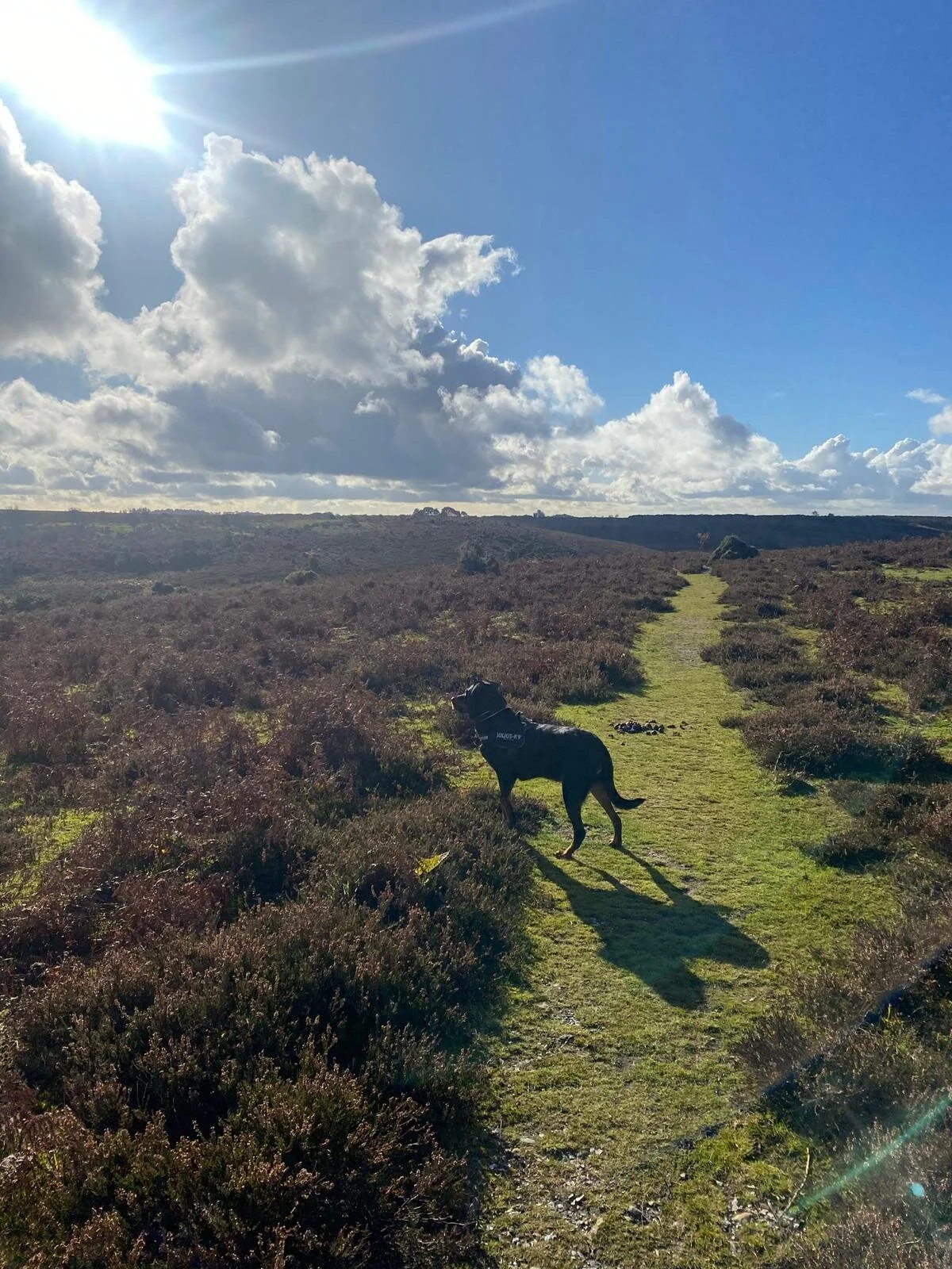 6399AF0B-60E0-4AEB-A891-DB18E5E88780