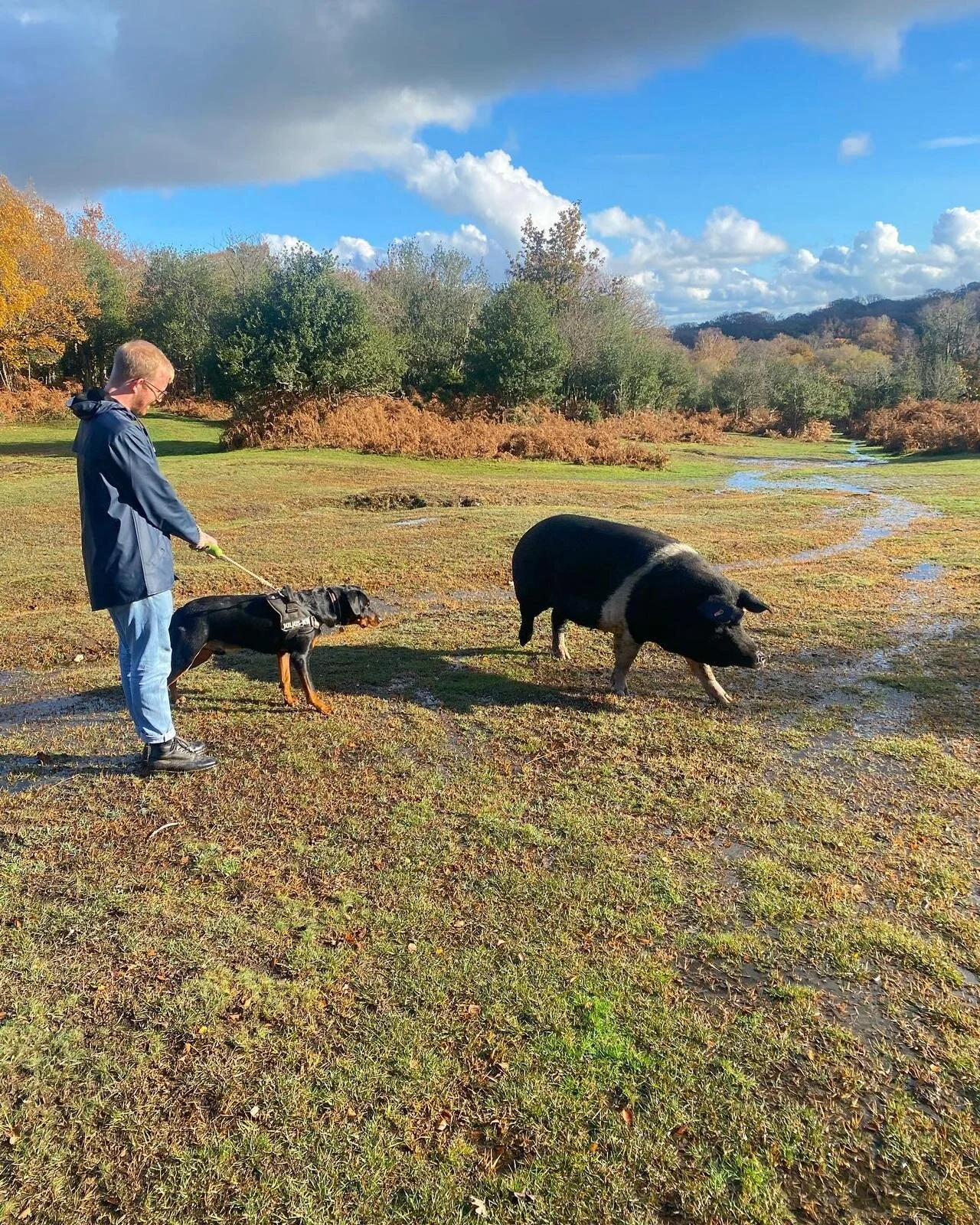 613C58DE-7FFA-4154-9A28-BEEB9C9EDB70