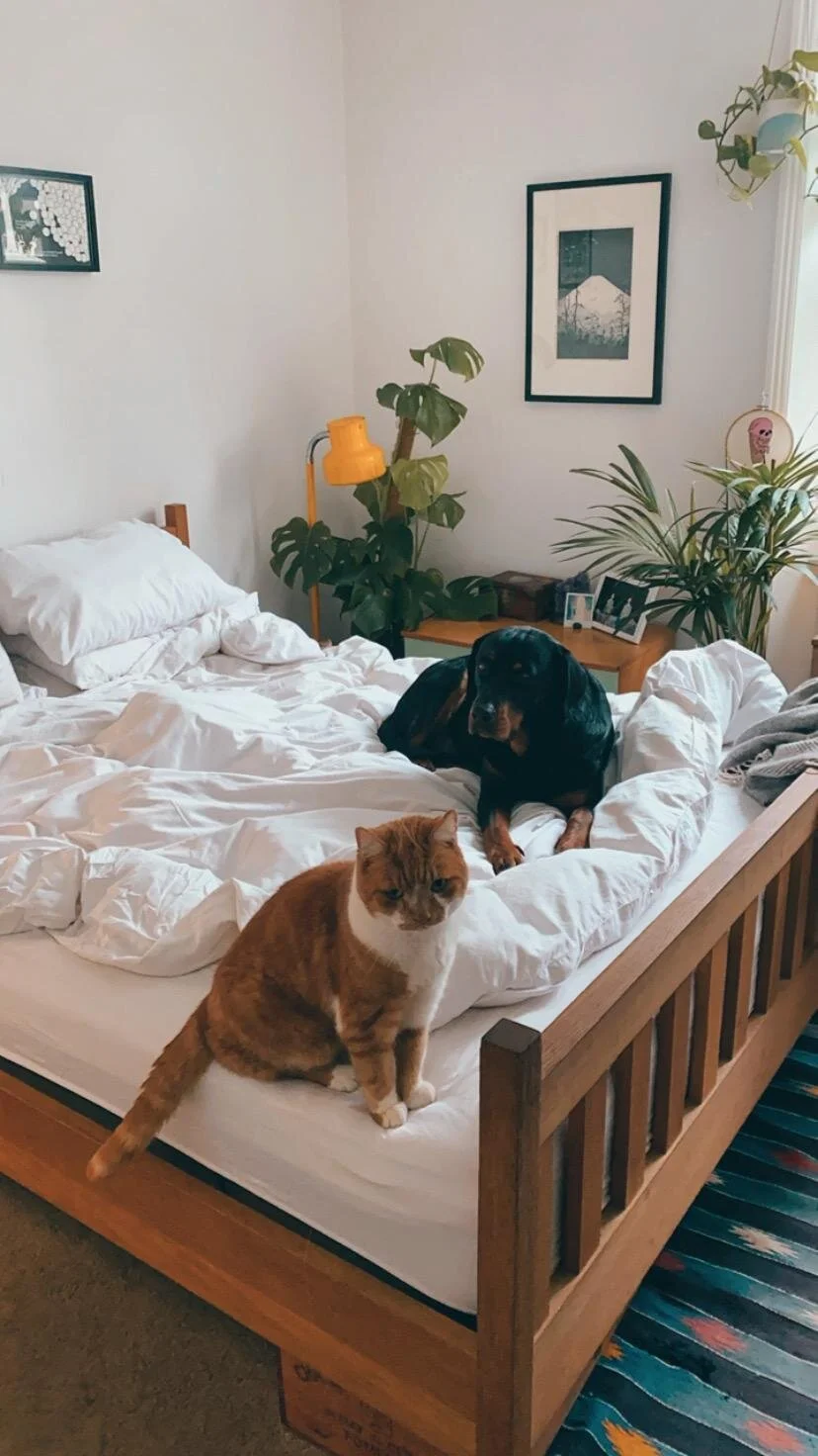 87D20C6C-A597-4330-BA91-F049D5DB54C3