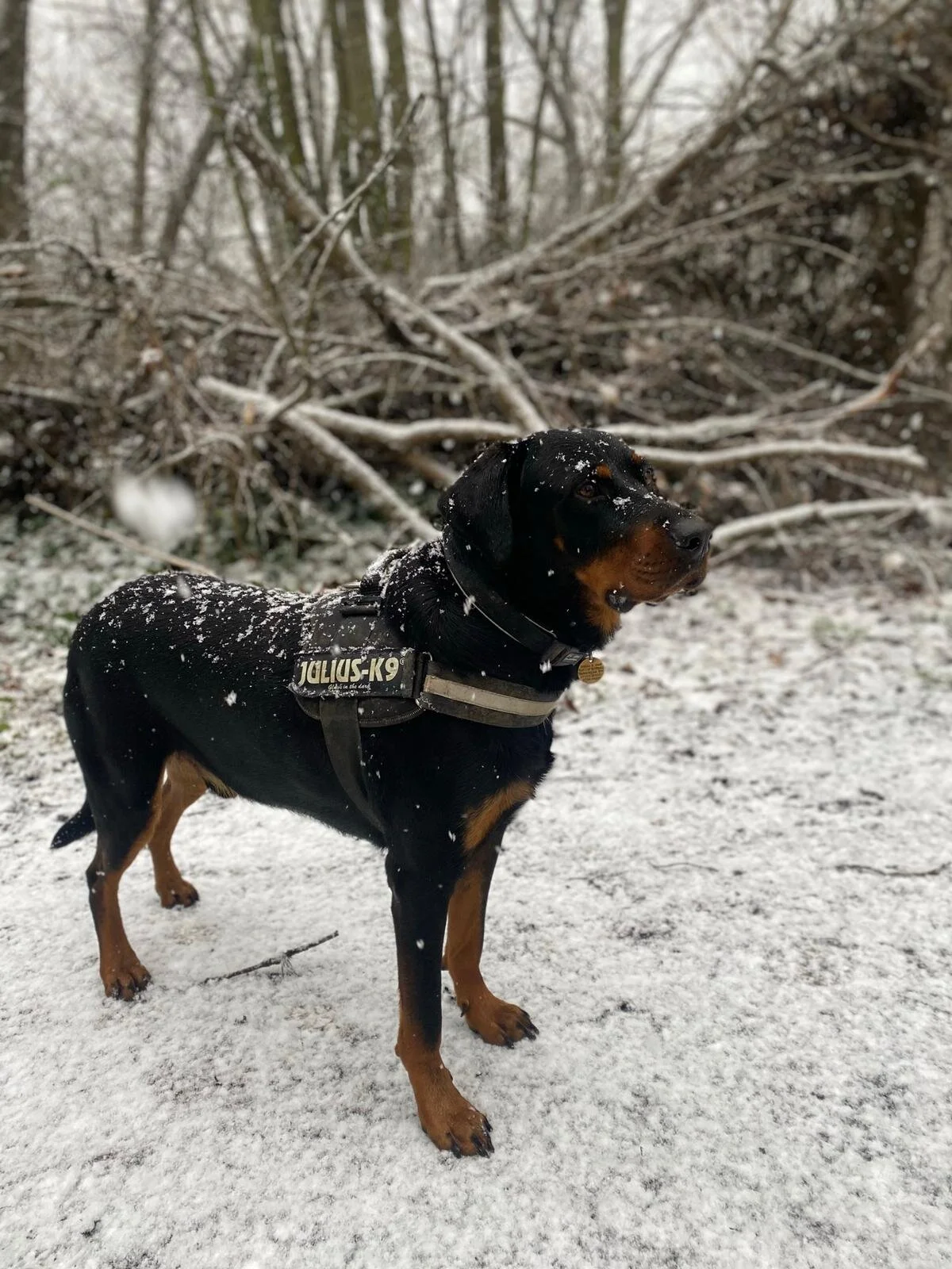 85E43FAC-0B41-4705-8AF0-4F3299002777