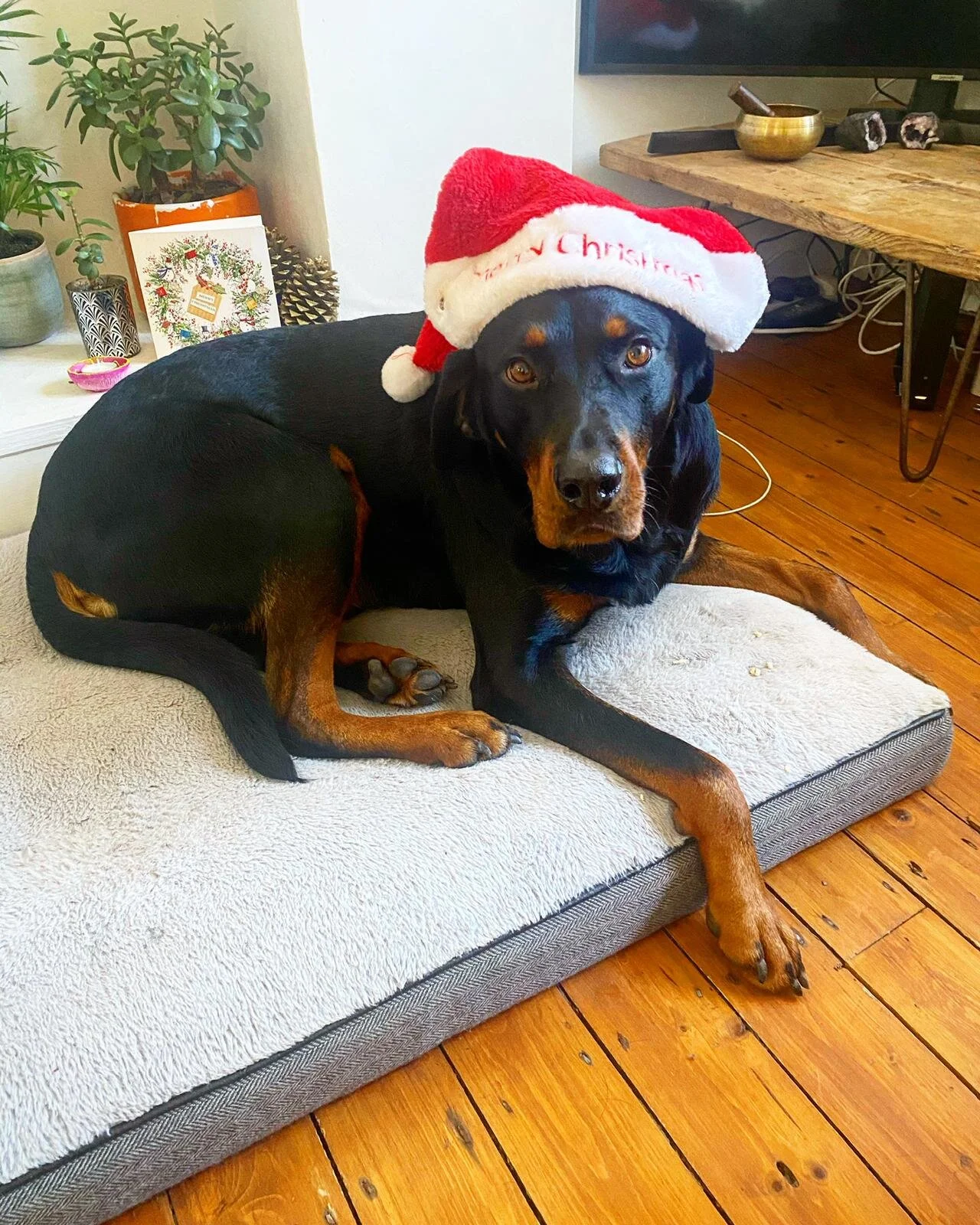 8428491A-1A41-40BC-91AE-C43B57FCEB1E