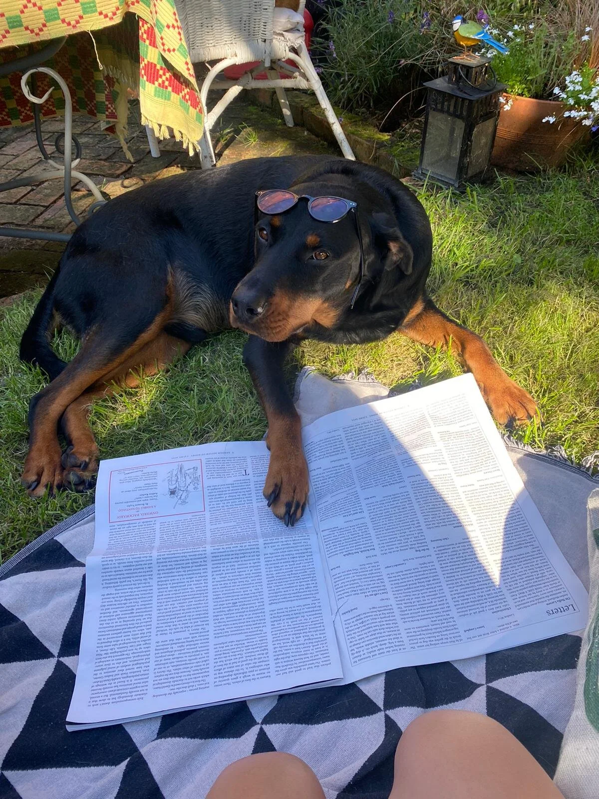 BFC328C2-C22E-4178-9FB7-F7B8067CF618