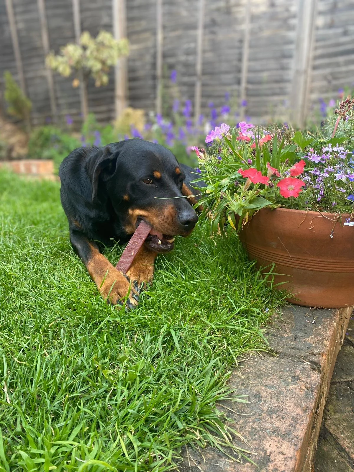 1A2D2D33-B771-47CA-86CC-46DA9B557CD7