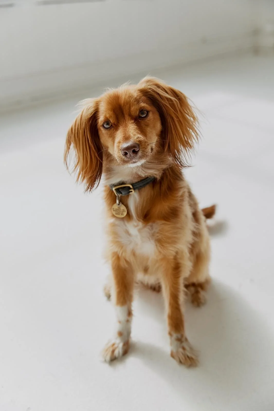 D0D9340D-FC28-44AC-826F-AB3D38787512