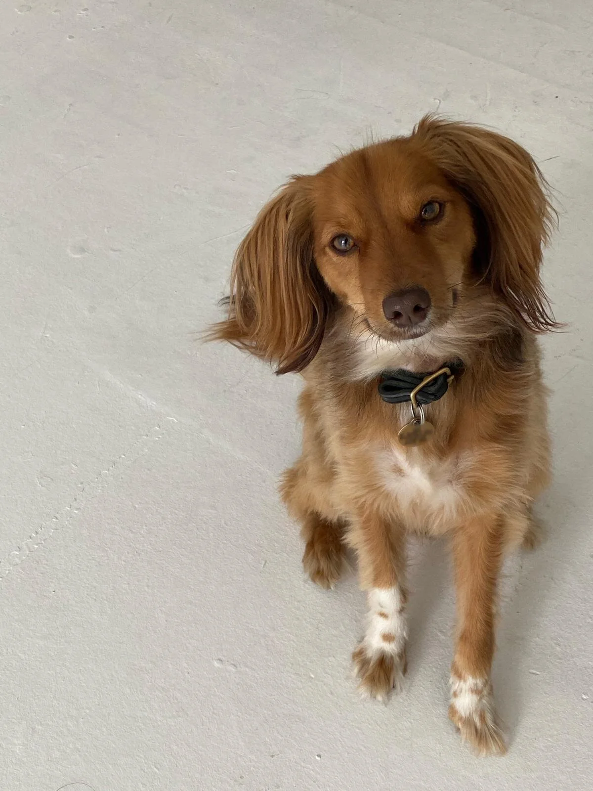 1FCB03B7-2266-442C-80BA-A93D8FD6A02D