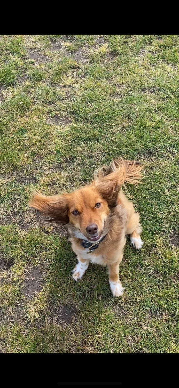 840A6771-6680-4B1F-AFF1-77F81FB100F7