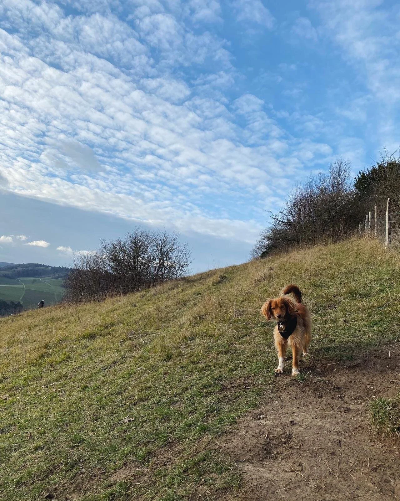 18251B65-7628-424C-8F45-C06561DDC8E5