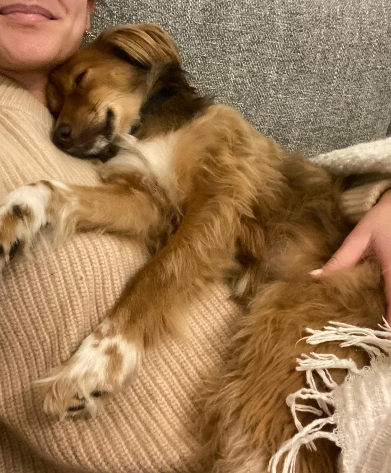 C954A48C-A645-48A1-A1ED-A1287E026F85