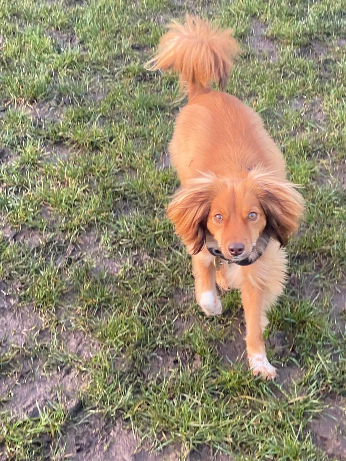 57E06CCE-D51D-49E2-85DF-5684E7FBB63C