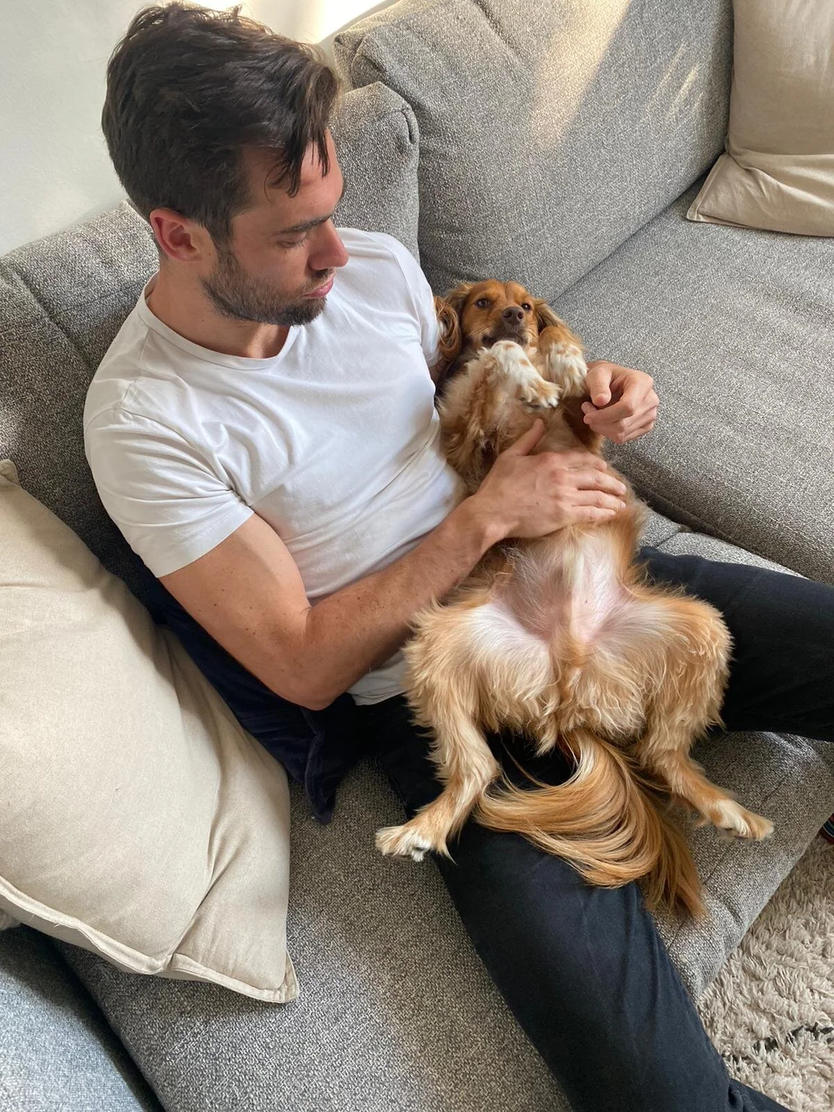 A755A3B6-BE00-4C20-A0E1-7F25582D96F2