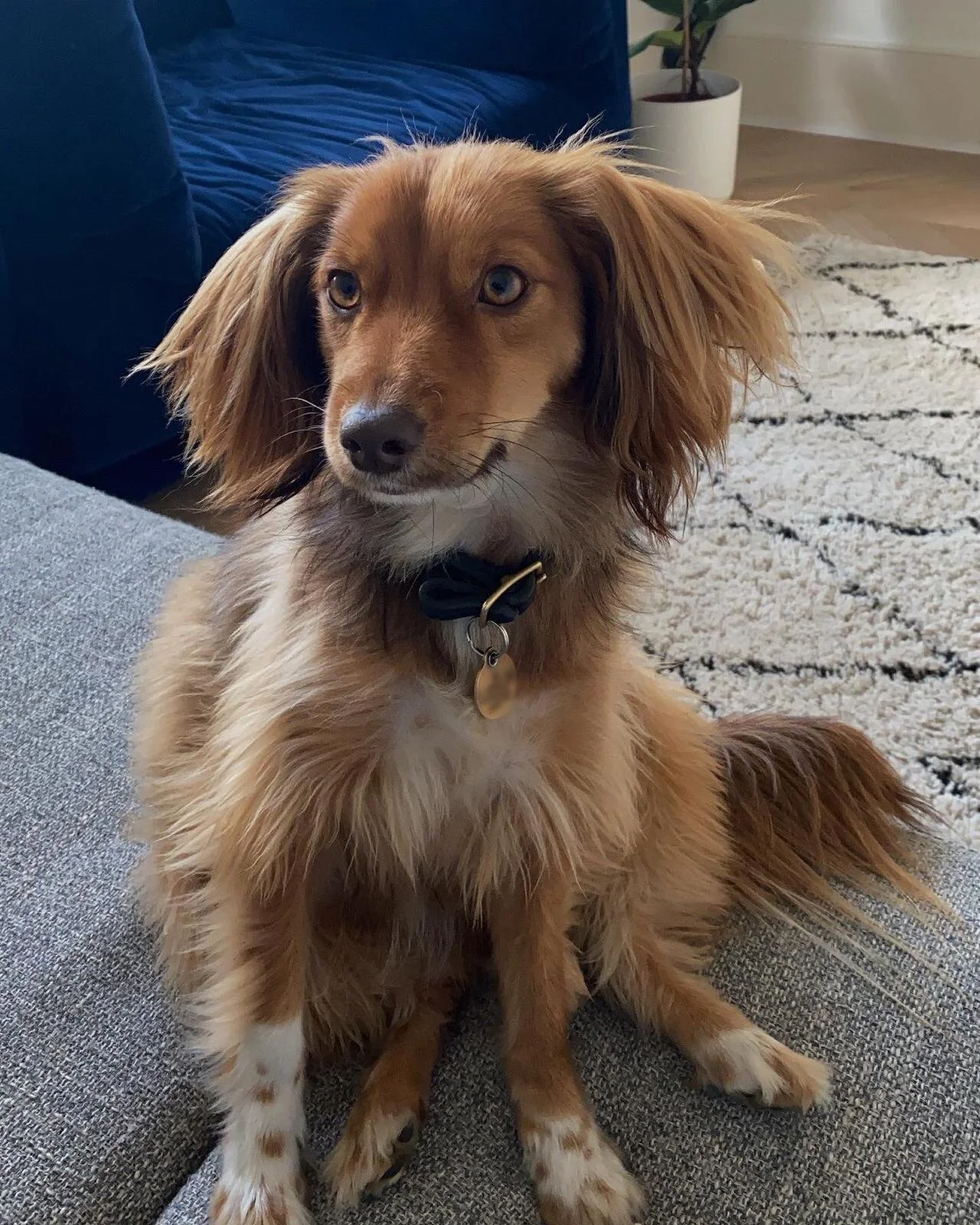 9EA9F553-F31D-4734-BCA7-5DBB59916AFB