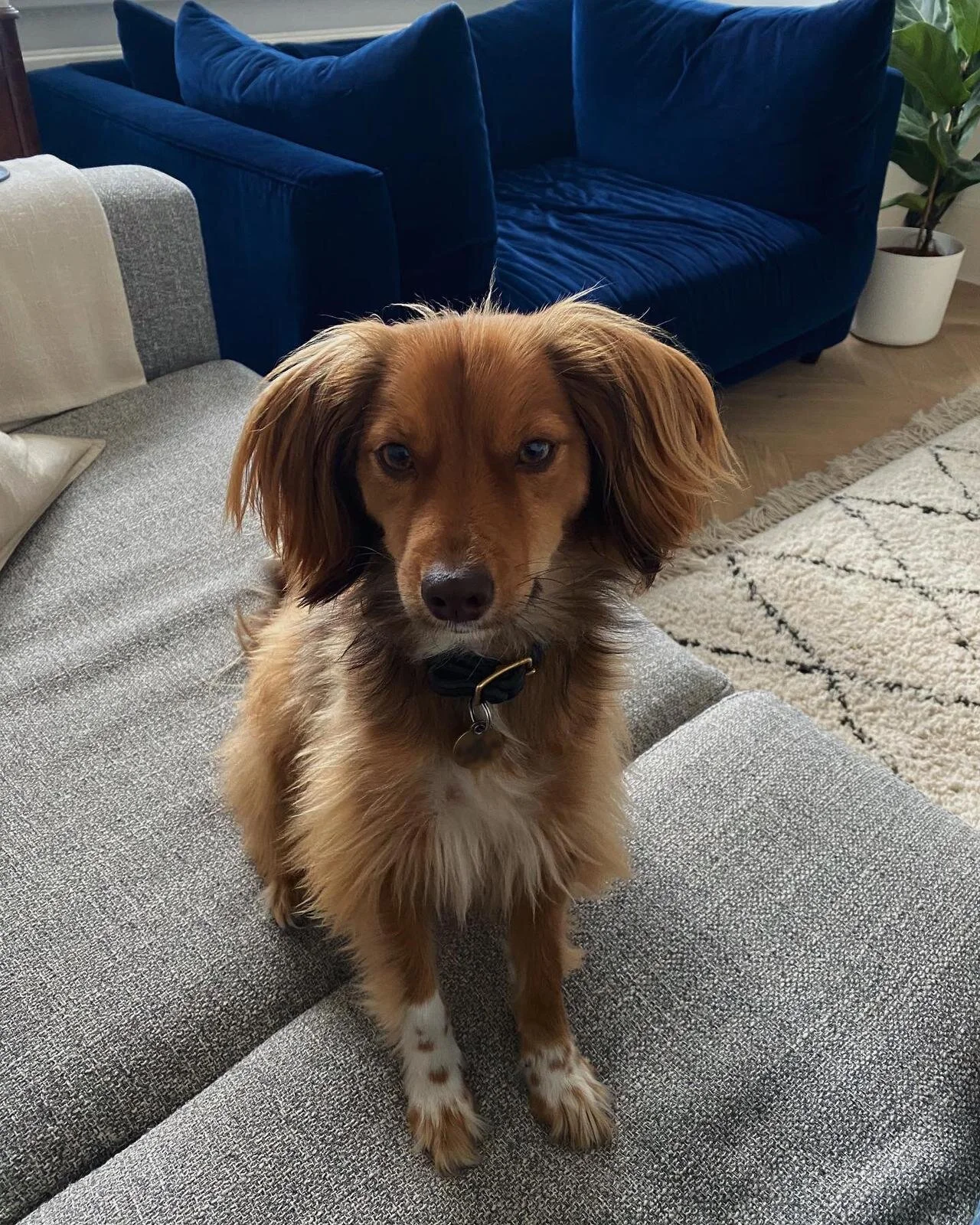 8C9BAE80-24F2-4701-B32F-CF125C0F2060