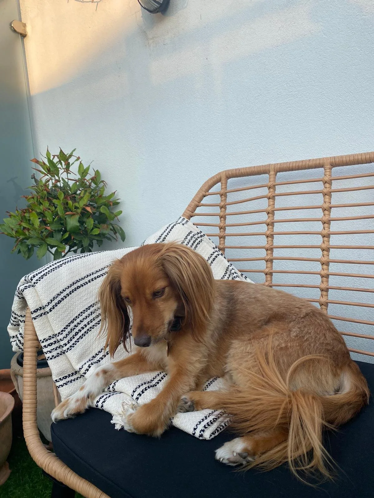 738C9034-775D-47DE-BAEC-E60F219C3C69