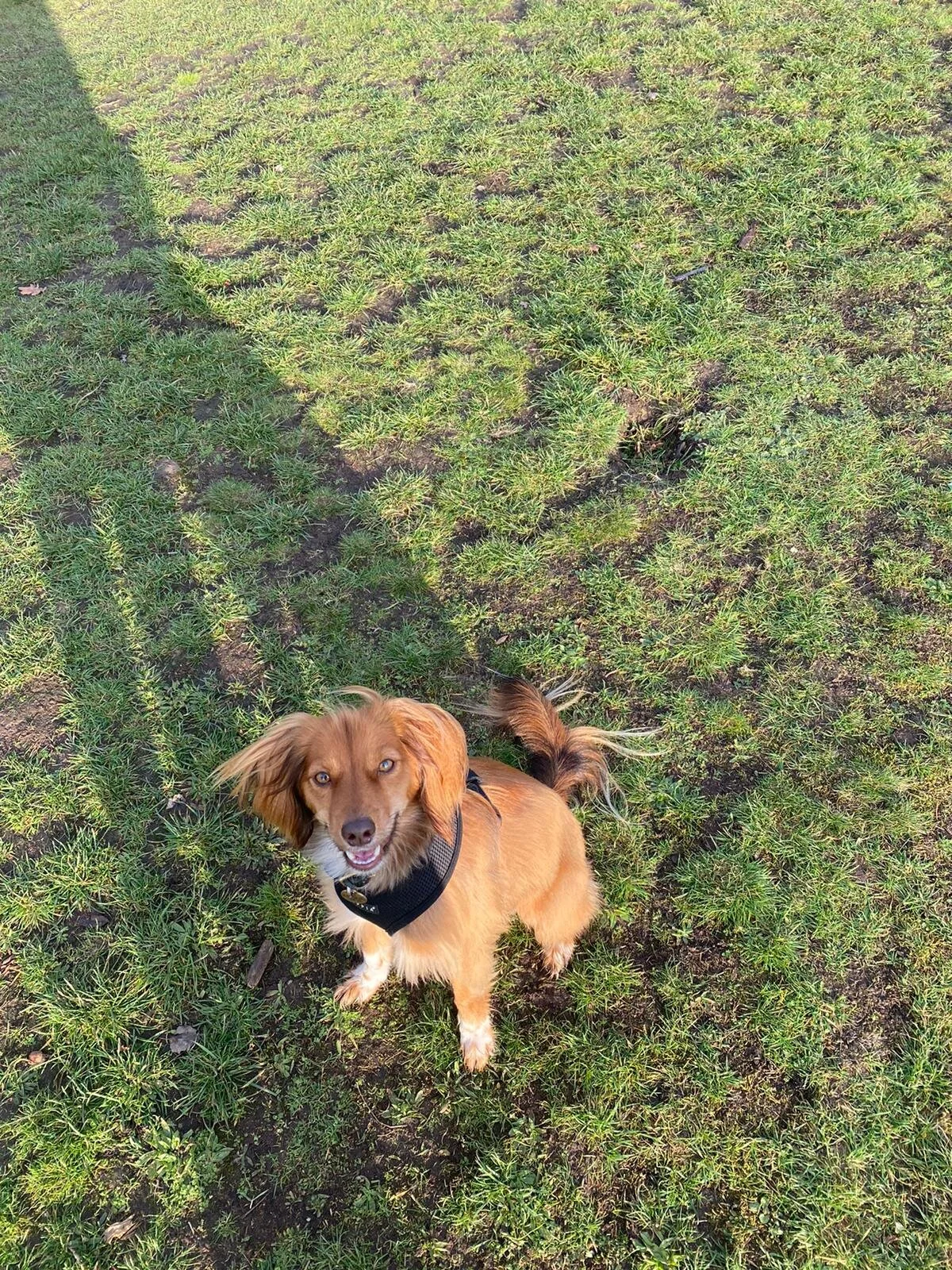 D2B66FFD-7E4A-4339-9801-FD219D36263C