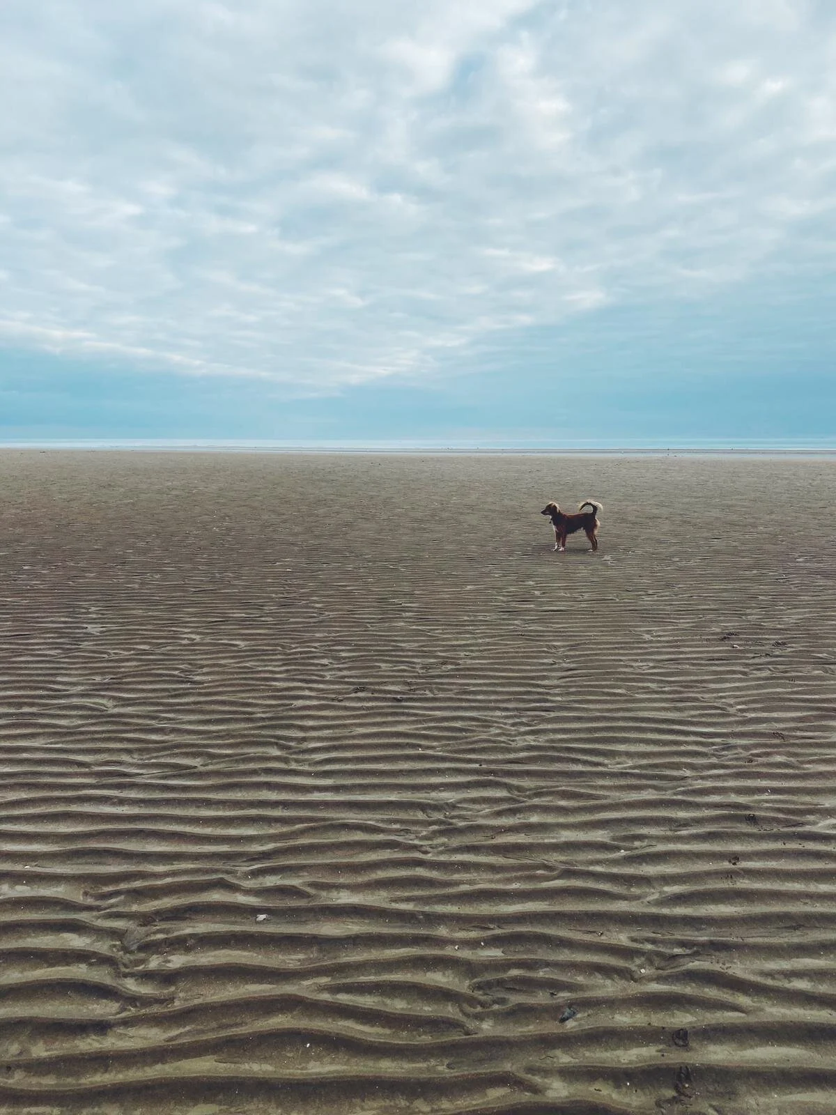 F9C13B89-1775-4EDC-92AB-963EBC8F2000