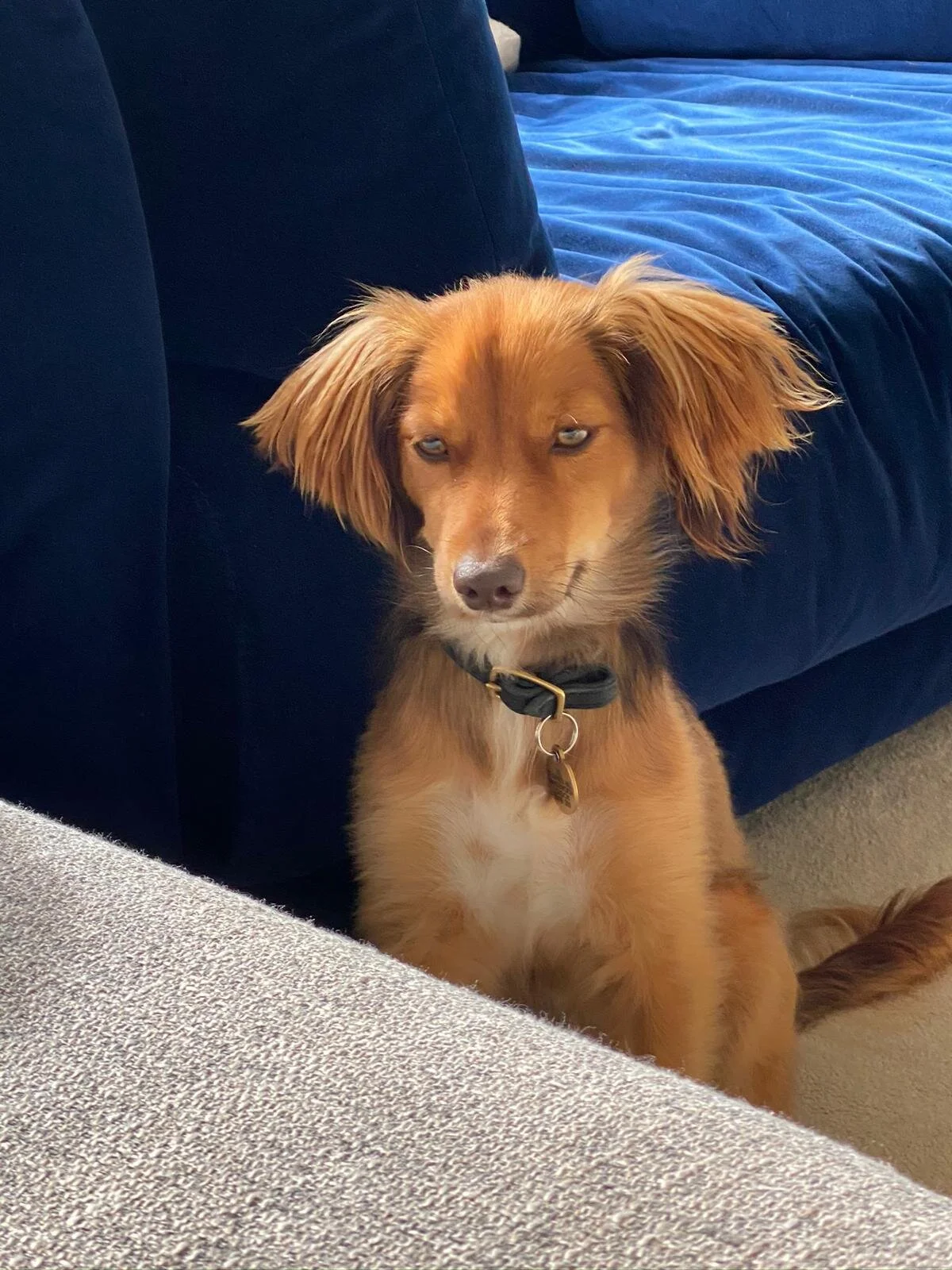 274A78B3-4AC5-48BD-A41F-AE953D9221E9