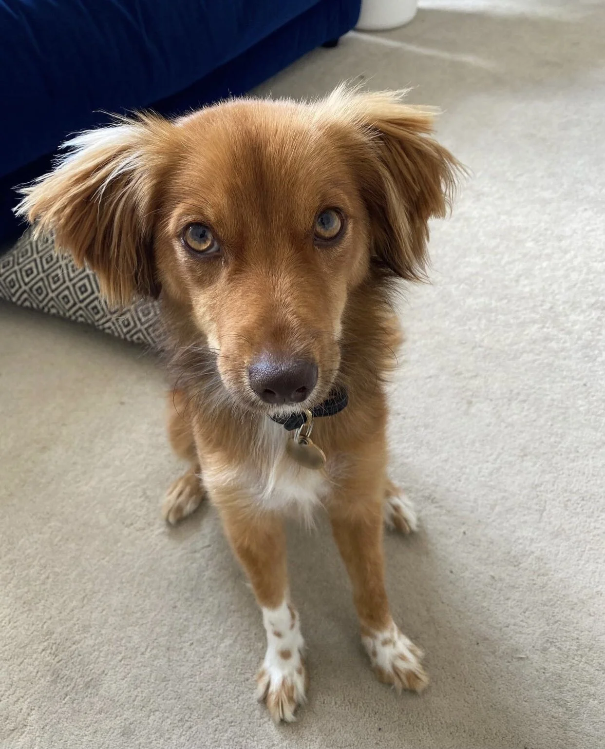 7A873EFD-694E-4429-8B17-B80BBD46CD47