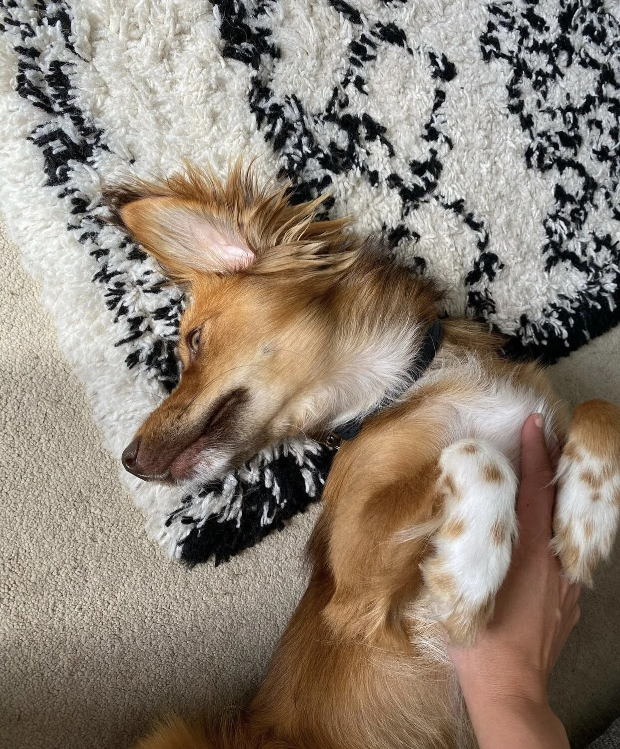 9E5221A7-189B-405C-A5EA-DED6A10C747A