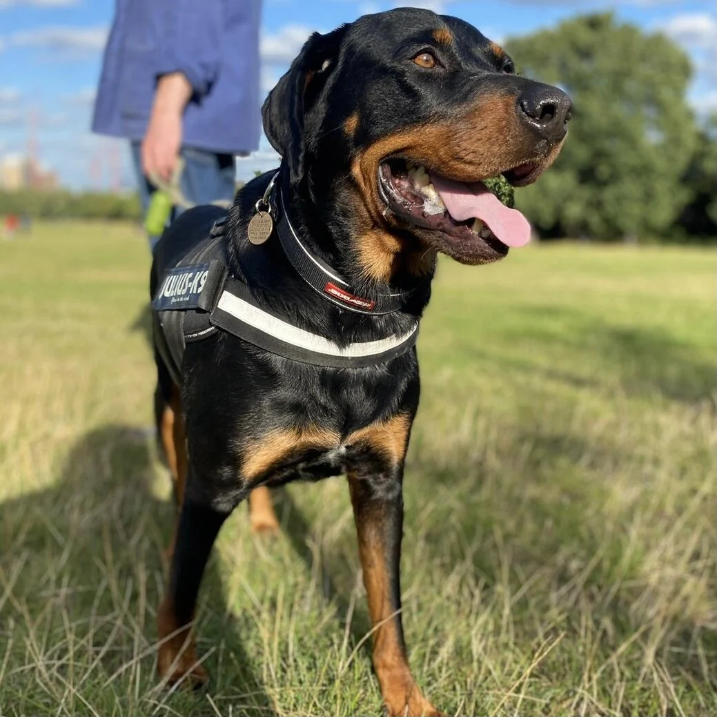 B775E7AE-CB71-41D4-8398-FC3F400531AF