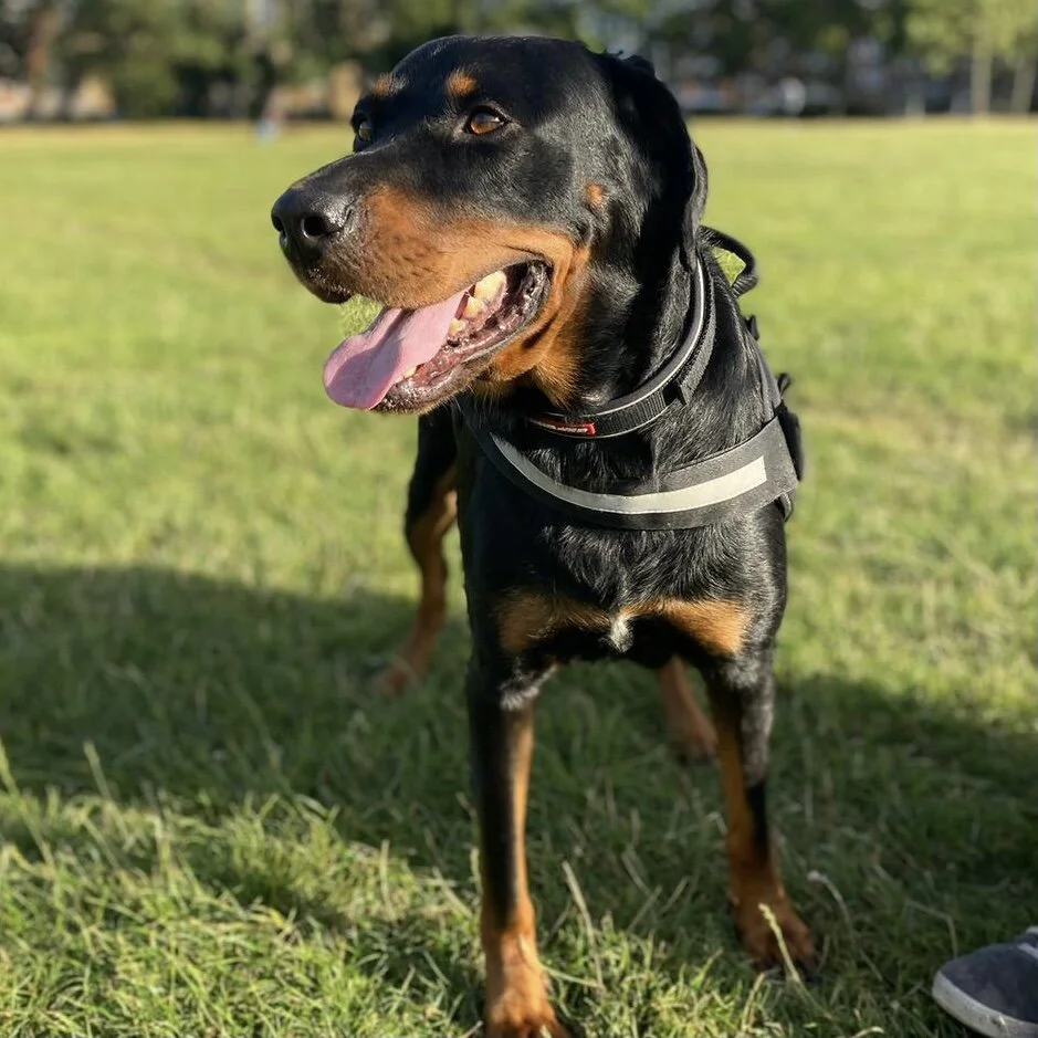 DD914B7F-E1A8-4560-A270-AA4C451643BA