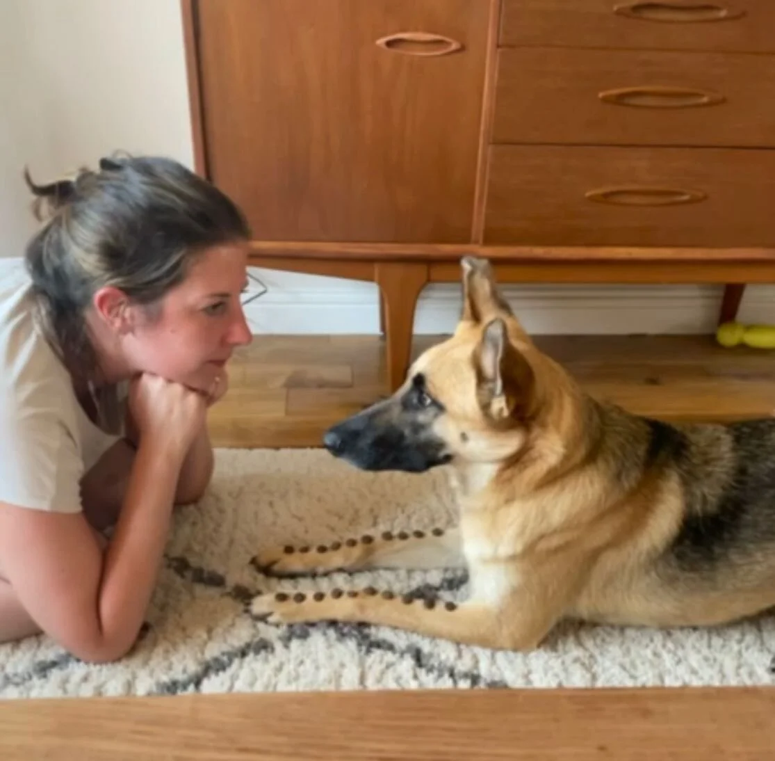 FCADF3B0-6CBC-459C-BB5B-6340F49D4898