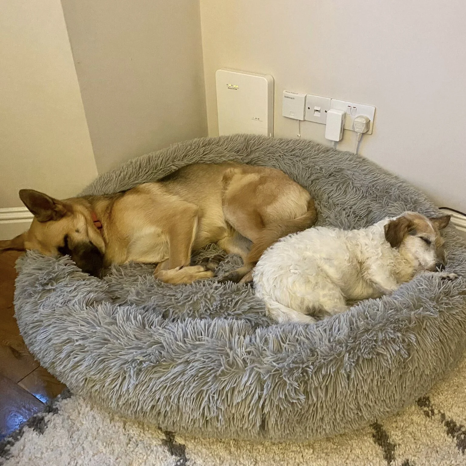 47246A76-7D69-4D40-9E6B-10798BB58766