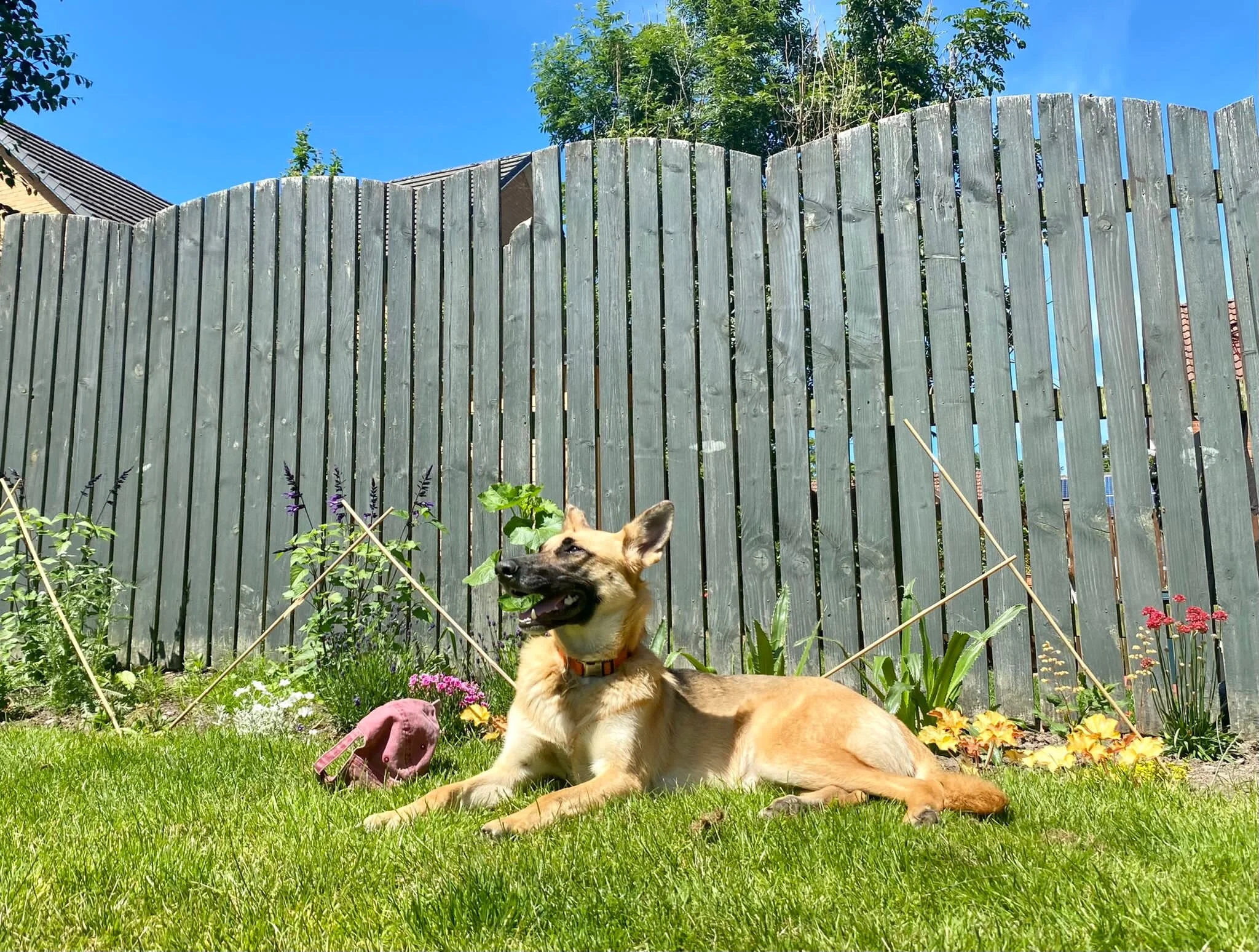 029B55A6-427E-4A23-8DB0-B0EB2240CBC4