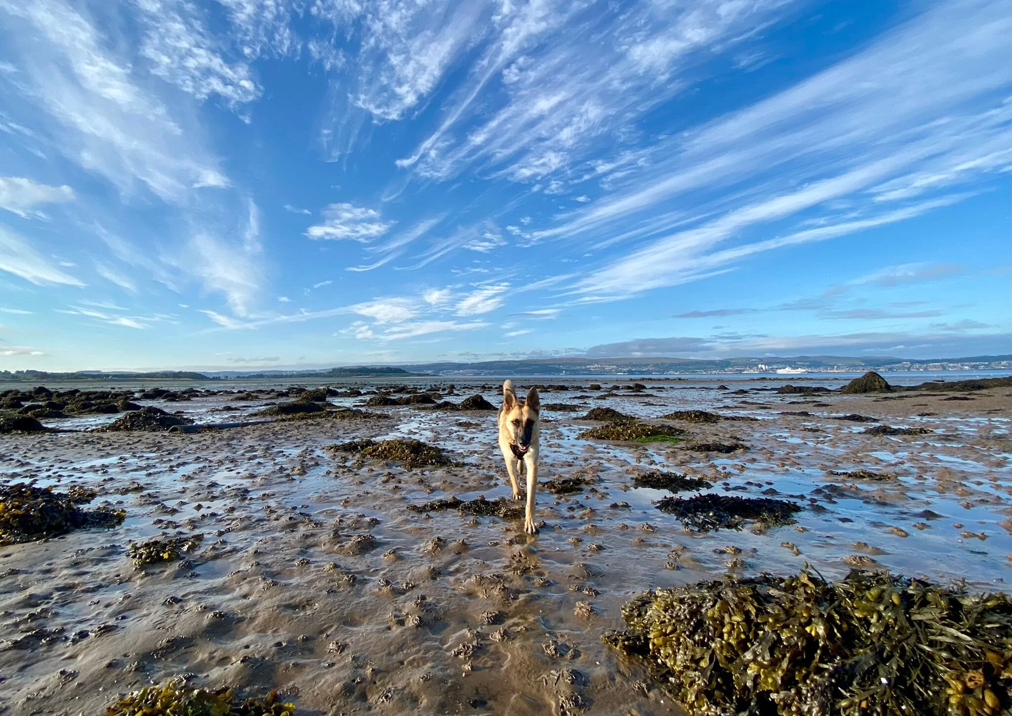 3C918C0F-CB16-4338-9876-E5A363D3FB60