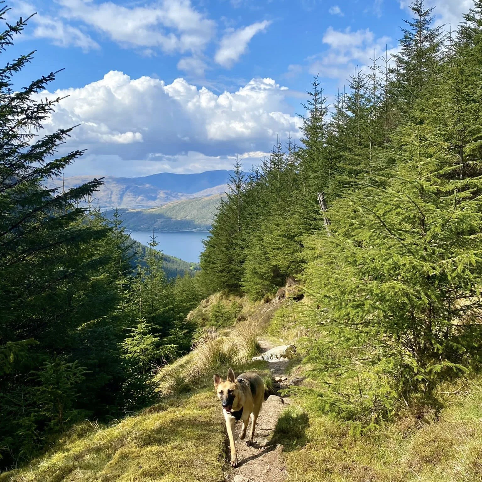 7AC82C1D-1DBB-4A89-8144-B87D0AACD84F