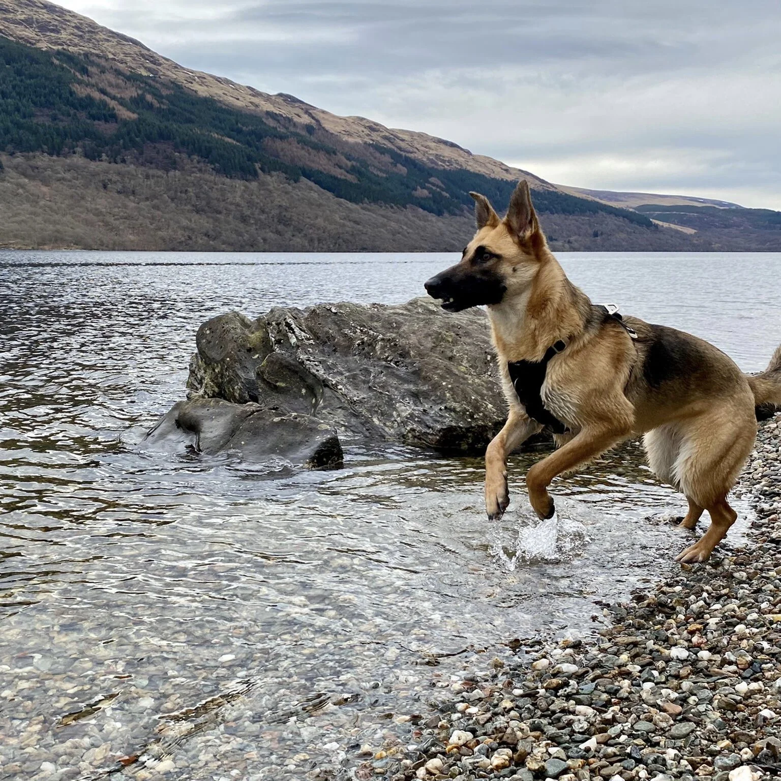 9C9BC70E-4FFE-4844-867A-5D9312268CE6