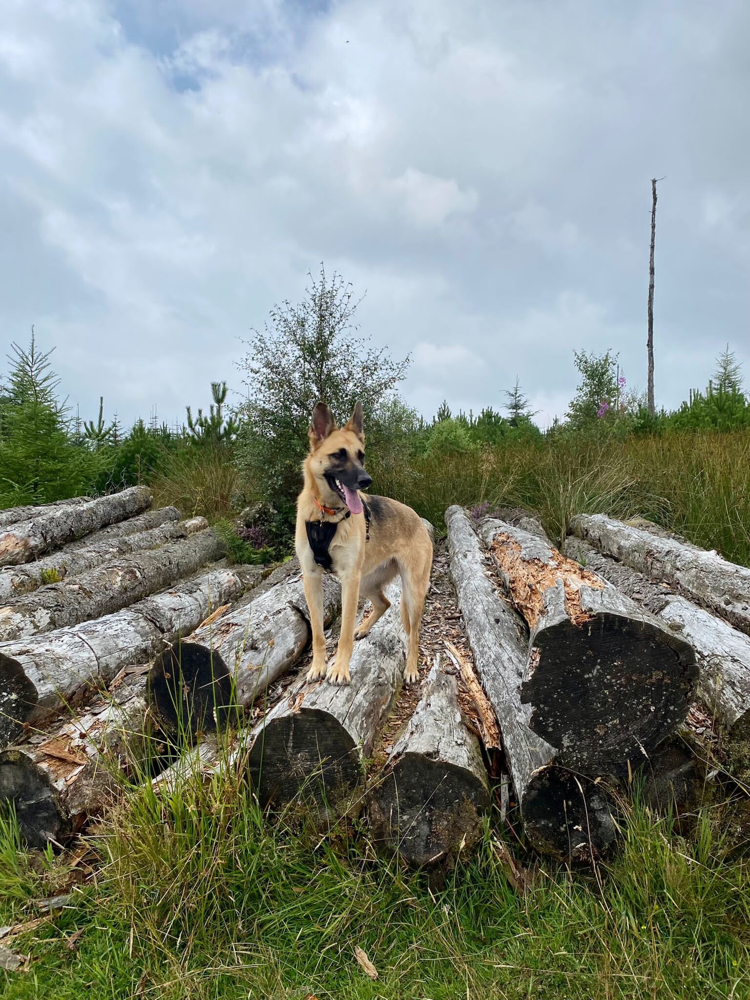 10454406-689D-422C-8510-CAFC1CEE24AA