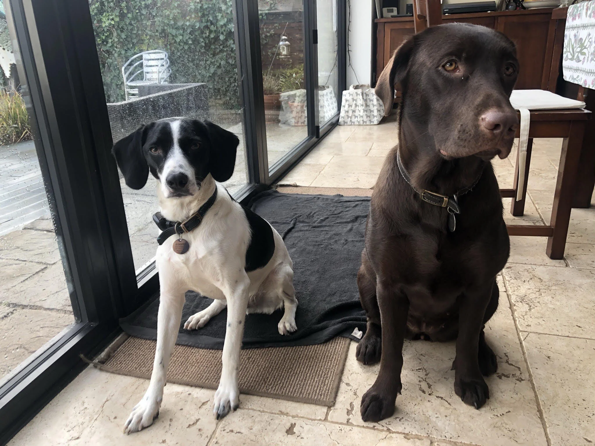 C453D128-3534-469E-B2F0-E292BBBD3C2B