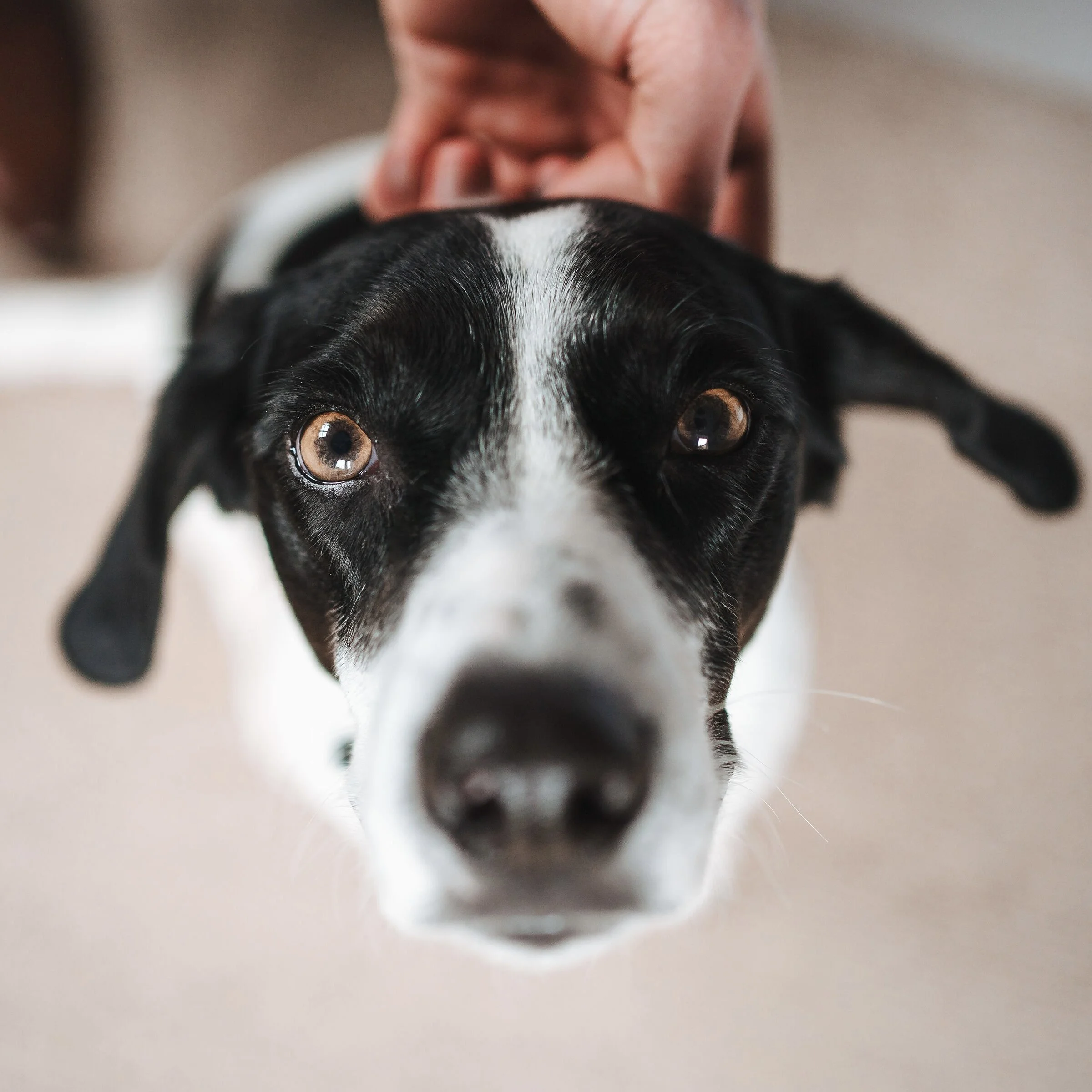 376F6378-69E8-4673-AEFE-7D1486197FC1