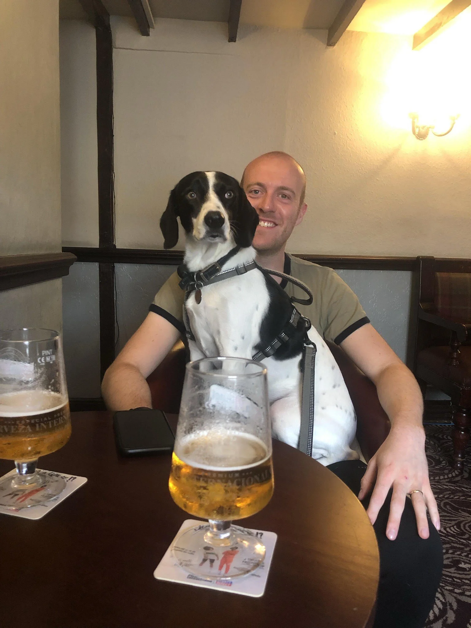 6C8C0016-8F51-452C-8A47-044B4C3A1ABA