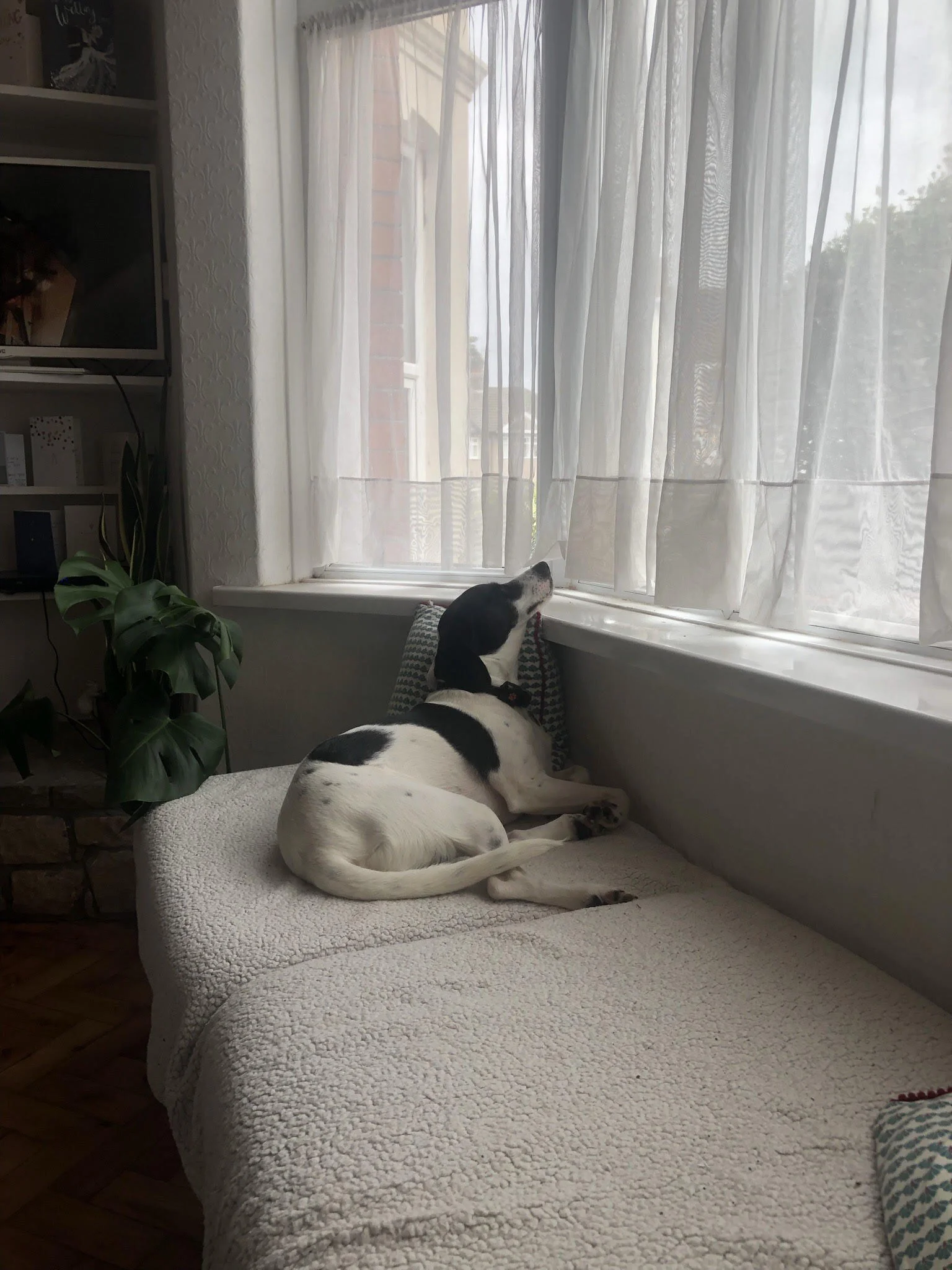 6A86DC2A-B20B-4FB2-9E42-8434C4DDD9F3