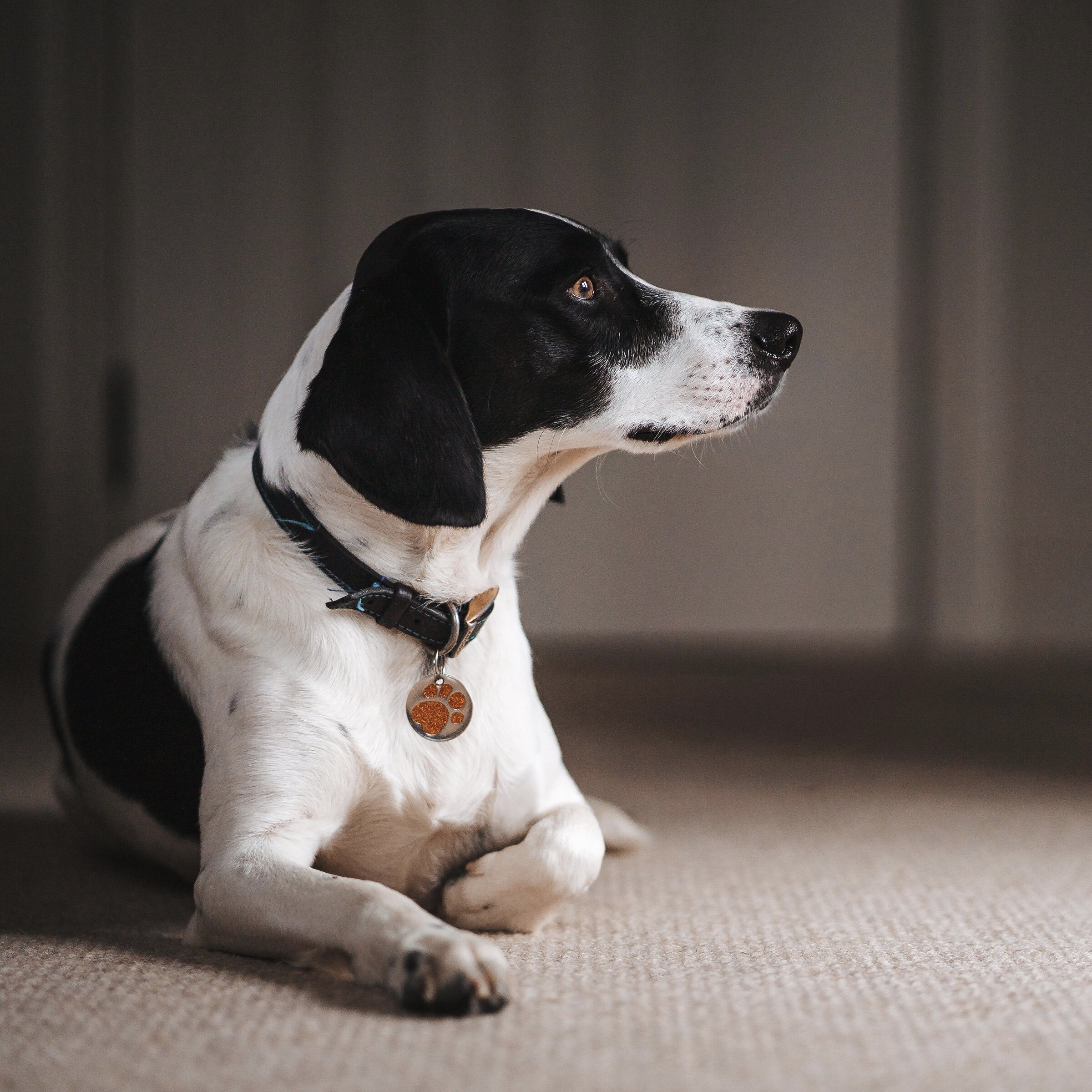 617F8297-61D1-46D6-94C9-D3156CC25DF3