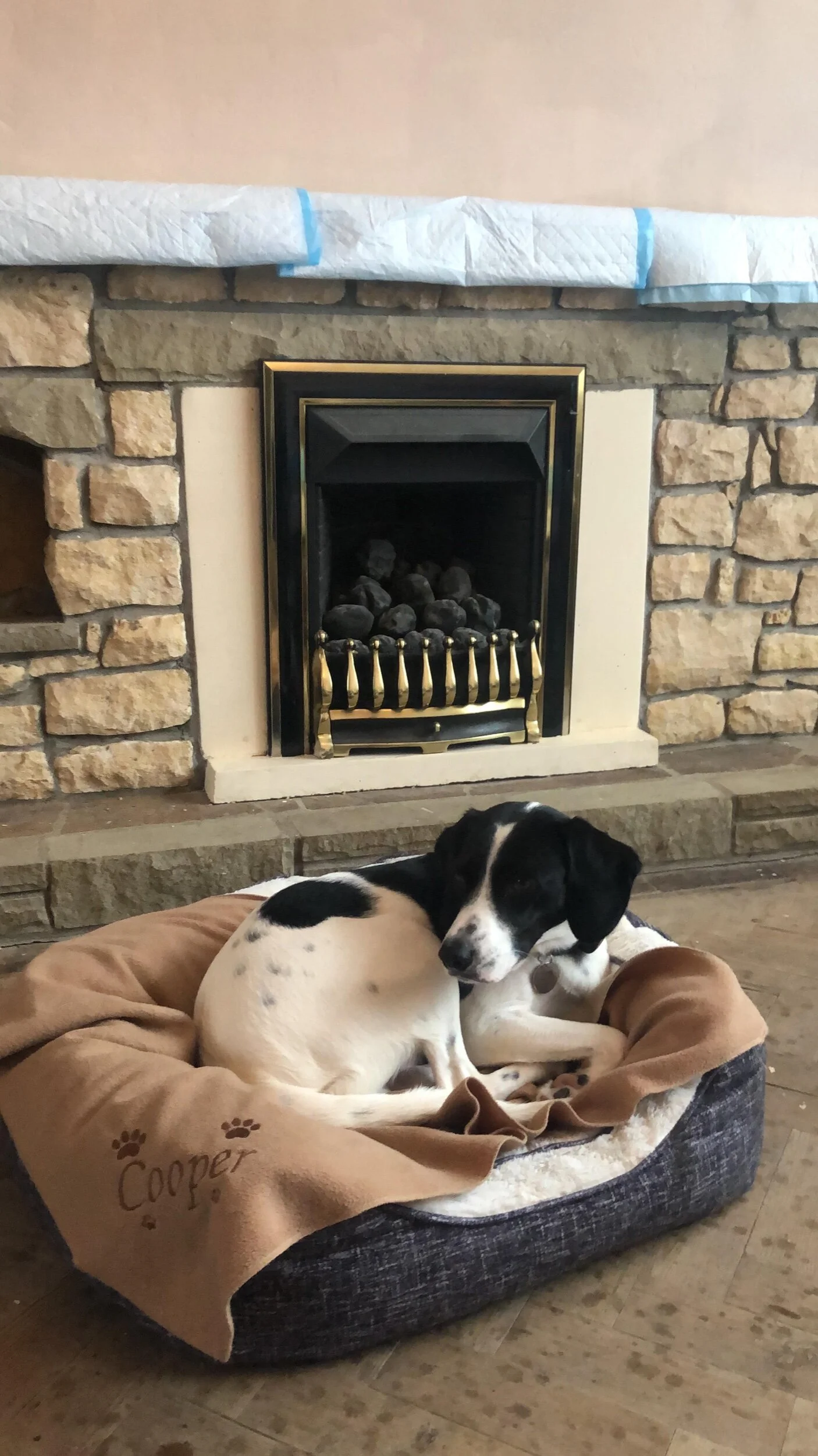 FA32F6E9-8FF4-44DA-AD37-D40BC4DE7C18