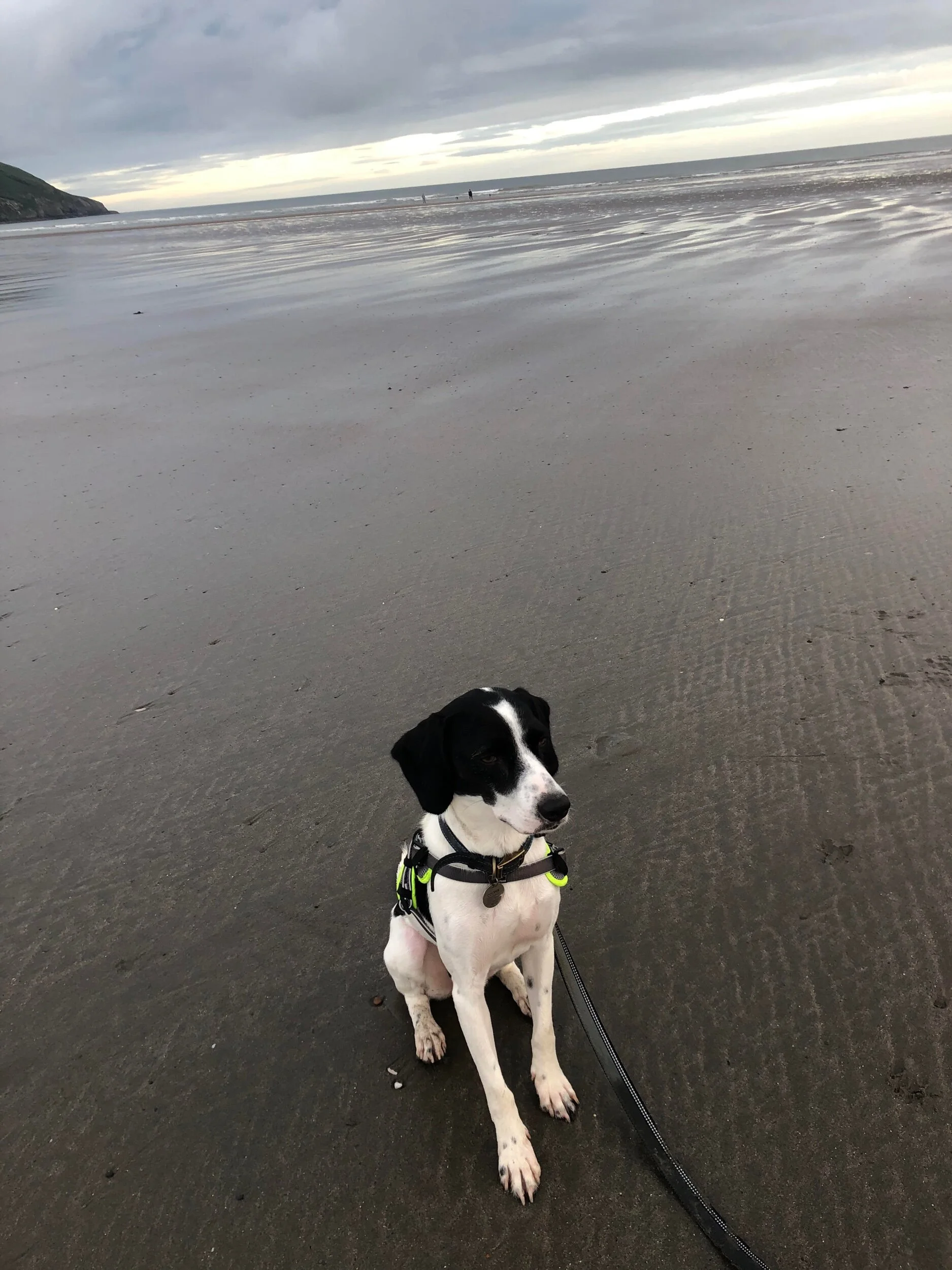 0992EB63-5DDF-4E1F-8BBB-FF67CA549E09