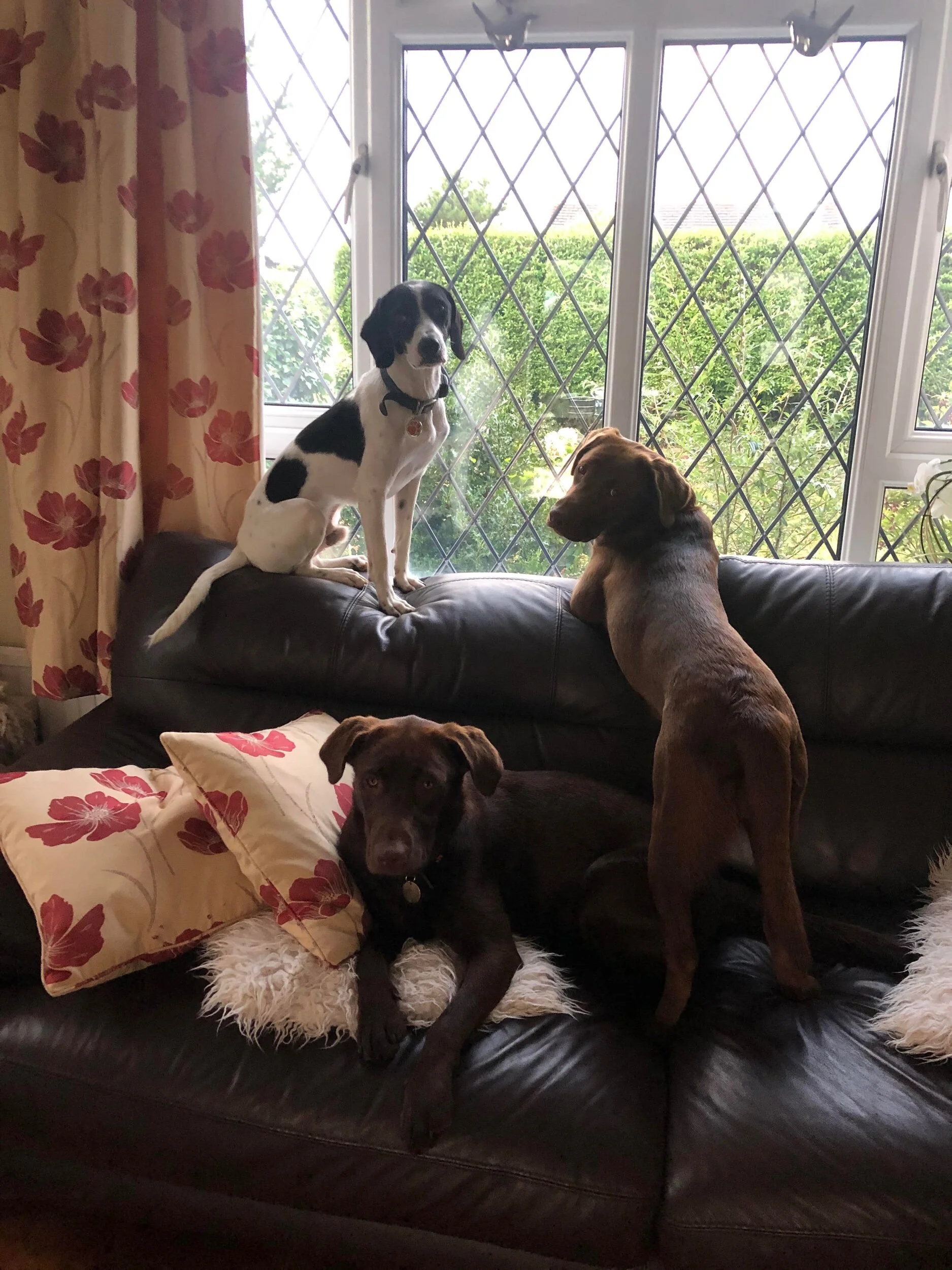 C16AE668-820C-4344-8B55-1B862B6E38A9